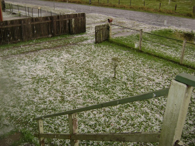 hail015.jpg